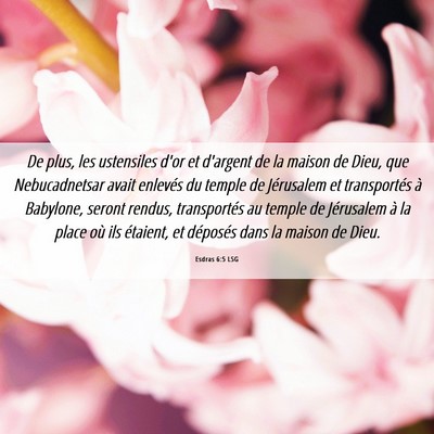 Picture 06 - Esdras 6:5 LSG - De plus, les ustensiles d'or et d'argent de la - Bible Verse Picture