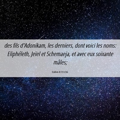 Picture 06 - Esdras 8:13 LSG - des fils d'Adonikam, les derniers, dont voici les - Bible Verse Picture