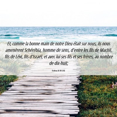 Picture 06 - Esdras 8:18 LSG - Et, comme la bonne main de notre Dieu était sur - Bible Verse Picture