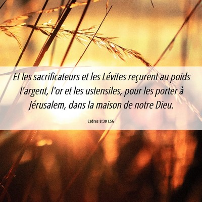 Picture 06 - Esdras 8:30 LSG - Et les sacrificateurs et les Lévites reçurent - Bible Verse Picture