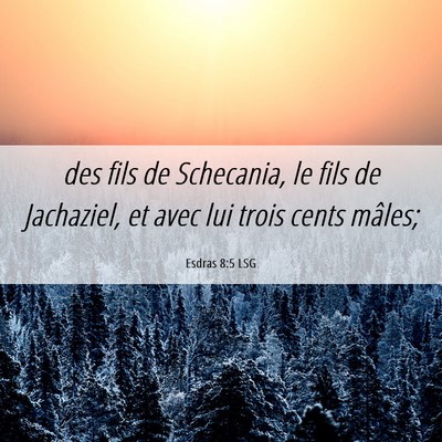 Picture 06 - Esdras 8:5 LSG - des fils de Schecania, le fils de Jachaziel, et - Bible Verse Picture