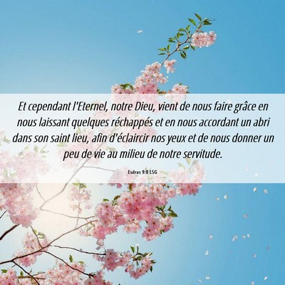 Picture 06 - Esdras 9:8 LSG - Et cependant l'Eternel, notre Dieu, vient de nous - Bible Verse Picture