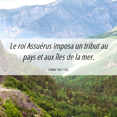 Picture 06 - Esther 10:1 LSG - Le roi Assuérus imposa un tribut au pays et aux - Bible Verse Picture