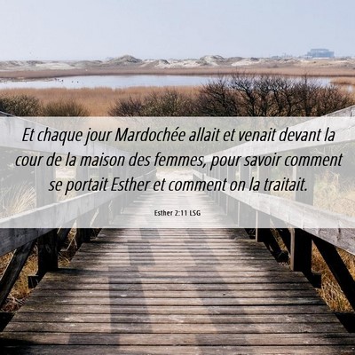 Picture 06 - Esther 2:11 LSG - Et chaque jour Mardochée allait et venait devant - Bible Verse Picture