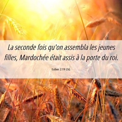 Picture 06 - Esther 2:19 LSG - La seconde fois qu'on assembla les jeunes filles, - Bible Verse Picture