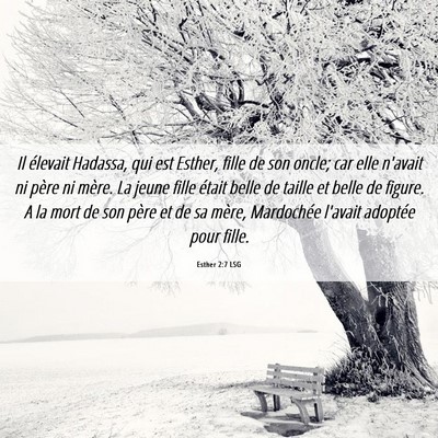 Picture 06 - Esther 2:7 LSG - Il élevait Hadassa, qui est Esther, fille de son - Bible Verse Picture