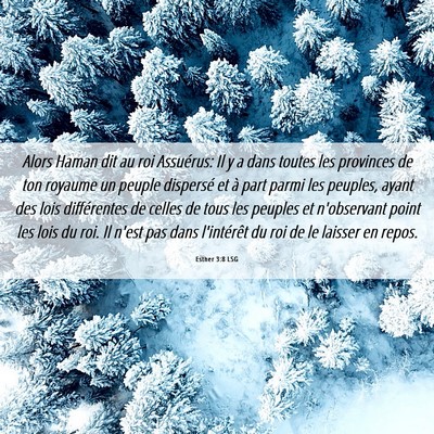Picture 06 - Esther 3:8 LSG - Alors Haman dit au roi Assuérus: Il y a dans - Bible Verse Picture