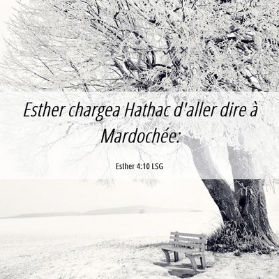 Picture 06 - Esther 4:10 LSG - Esther chargea Hathac d'aller dire à - Bible Verse Picture