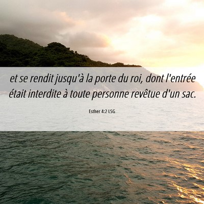 Picture 06 - Esther 4:2 LSG - et se rendit jusqu'à la porte du roi, dont - Bible Verse Picture