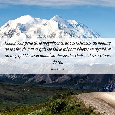 Picture 06 - Esther 5:11 LSG - Haman leur parla de la magnificence de ses - Bible Verse Picture