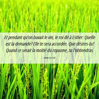Picture 06 - Esther 5:6 LSG - Et pendant qu'on buvait le vin, le roi dit à - Bible Verse Picture