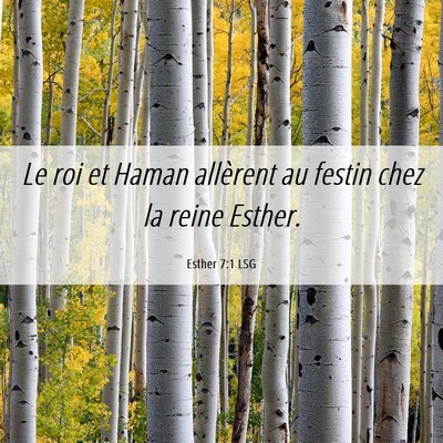 Picture 06 - Esther 7:1 LSG - Le roi et Haman allèrent au festin chez la reine - Bible Verse Picture