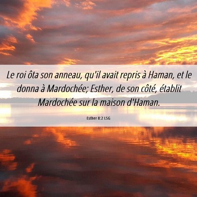 Picture 06 - Esther 8:2 LSG - Le roi ôta son anneau, qu'il avait repris à - Bible Verse Picture