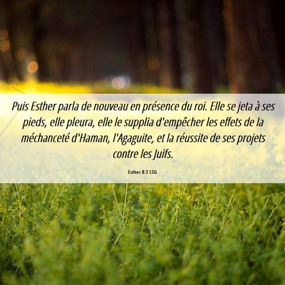 Picture 06 - Esther 8:3 LSG - Puis Esther parla de nouveau en présence du roi. - Bible Verse Picture