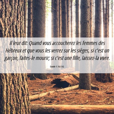 Picture 06 - Exode 1:16 LSG - Il leur dit: Quand vous accoucherez les femmes - Bible Verse Picture