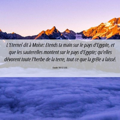 Picture 06 - Exode 10:12 LSG - L'Eternel dit à Moïse: Etends ta main sur le - Bible Verse Picture