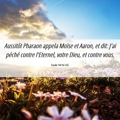Picture 06 - Exode 10:16 LSG - Aussitôt Pharaon appela Moïse et Aaron, et dit: - Bible Verse Picture