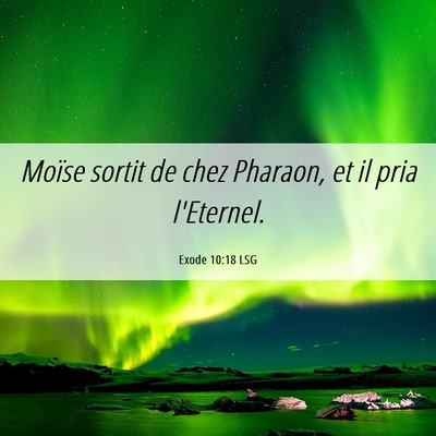 Picture 06 - Exode 10:18 LSG - Moïse sortit de chez Pharaon, et il pria - Bible Verse Picture