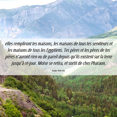 Picture 06 - Exode 10:6 LSG - elles rempliront tes maisons, les maisons de tous - Bible Verse Picture