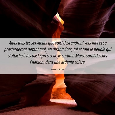 Picture 06 - Exode 11:8 LSG - Alors tous tes serviteurs que voici descendront - Bible Verse Picture