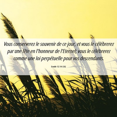 Picture 06 - Exode 12:14 LSG - Vous conserverez le souvenir de ce jour, et vous - Bible Verse Picture