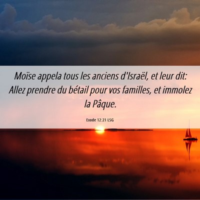 Picture 06 - Exode 12:21 LSG - Moïse appela tous les anciens d'Israël, et leur - Bible Verse Picture