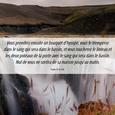 Picture 06 - Exode 12:22 LSG - Vous prendrez ensuite un bouquet d'hysope, vous - Bible Verse Picture
