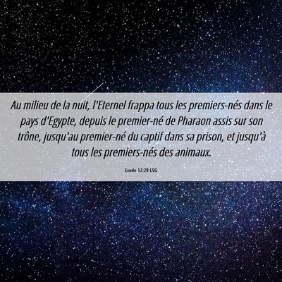 Picture 06 - Exode 12:29 LSG - Au milieu de la nuit, l'Eternel frappa tous les - Bible Verse Picture