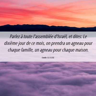 Picture 06 - Exode 12:3 LSG - Parlez à toute l'assemblée d'Israël, et dites: - Bible Verse Picture