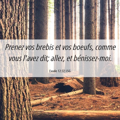 Picture 06 - Exode 12:32 LSG - Prenez vos brebis et vos boeufs, comme vous - Bible Verse Picture