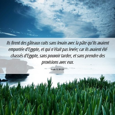 Picture 06 - Exode 12:39 LSG - Ils firent des gâteaux cuits sans levain avec la - Bible Verse Picture