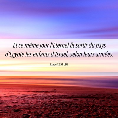 Picture 06 - Exode 12:51 LSG - Et ce même jour l'Eternel fit sortir du pays - Bible Verse Picture
