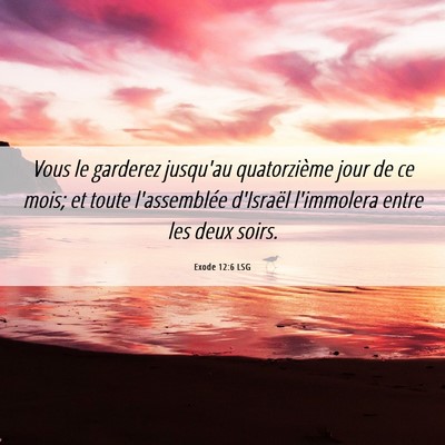 Picture 06 - Exode 12:6 LSG - Vous le garderez jusqu'au quatorzième jour de ce - Bible Verse Picture