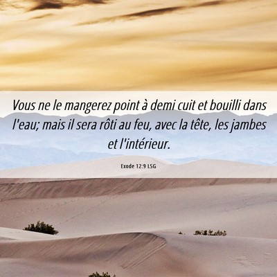 Picture 06 - Exode 12:9 LSG - Vous ne le mangerez point à demi cuit et bouilli - Bible Verse Picture