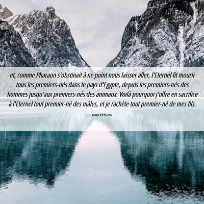Picture 06 - Exode 13:15 LSG - et, comme Pharaon s'obstinait à ne point nous - Bible Verse Picture