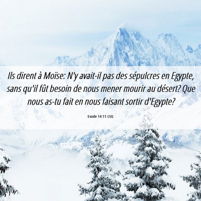 Picture 06 - Exode 14:11 LSG - Ils dirent à Moïse: N'y avait-il pas des - Bible Verse Picture
