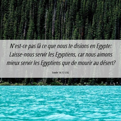 Picture 06 - Exode 14:12 LSG - N'est-ce pas là ce que nous te disions en - Bible Verse Picture
