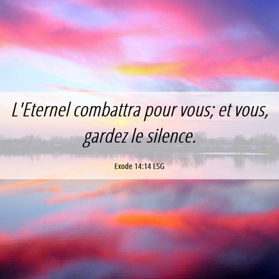 Picture 06 - Exode 14:14 LSG - L'Eternel combattra pour vous; et vous, gardez le - Bible Verse Picture