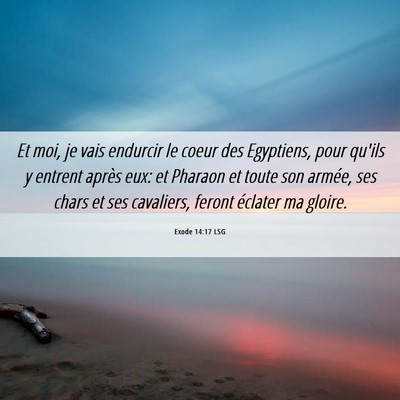 Picture 06 - Exode 14:17 LSG - Et moi, je vais endurcir le coeur des Egyptiens, - Bible Verse Picture