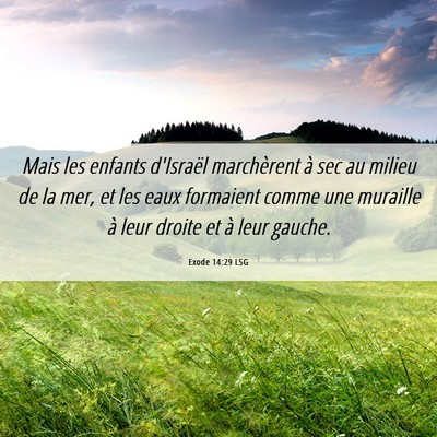 Picture 06 - Exode 14:29 LSG - Mais les enfants d'Israël marchèrent à sec au - Bible Verse Picture