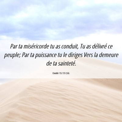Picture 06 - Exode 15:13 LSG - Par ta miséricorde tu as conduit, Tu as - Bible Verse Picture