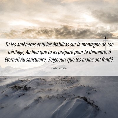 Picture 06 - Exode 15:17 LSG - Tu les amèneras et tu les établiras sur la - Bible Verse Picture
