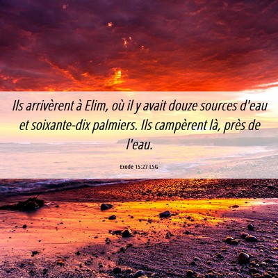 Picture 06 - Exode 15:27 LSG - Ils arrivèrent à Elim, où il y avait douze - Bible Verse Picture