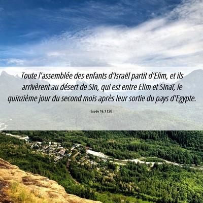 Picture 06 - Exode 16:1 LSG - Toute l'assemblée des enfants d'Israël partit - Bible Verse Picture