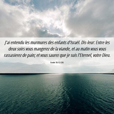 Picture 06 - Exode 16:12 LSG - J'ai entendu les murmures des enfants d'Israël. - Bible Verse Picture