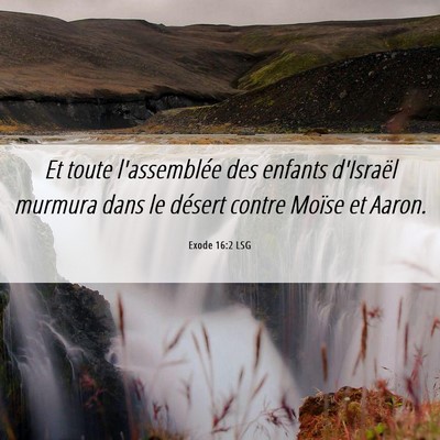 Picture 06 - Exode 16:2 LSG - Et toute l'assemblée des enfants d'Israël - Bible Verse Picture