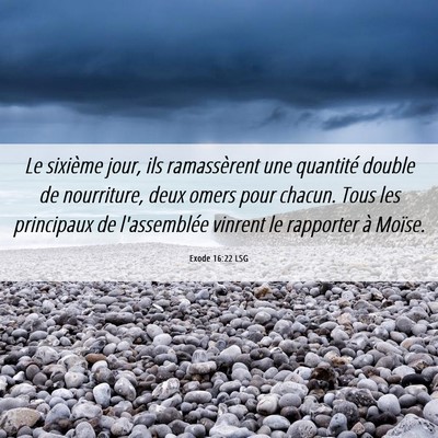 Picture 06 - Exode 16:22 LSG - Le sixième jour, ils ramassèrent une quantité - Bible Verse Picture