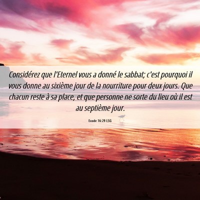 Picture 06 - Exode 16:29 LSG - Considérez que l'Eternel vous a donné le - Bible Verse Picture