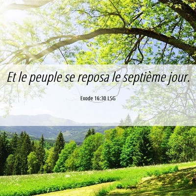 Picture 06 - Exode 16:30 LSG - Et le peuple se reposa le septième - Bible Verse Picture