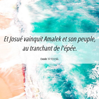 Picture 06 - Exode 17:13 LSG - Et Josué vainquit Amalek et son peuple, au - Bible Verse Picture